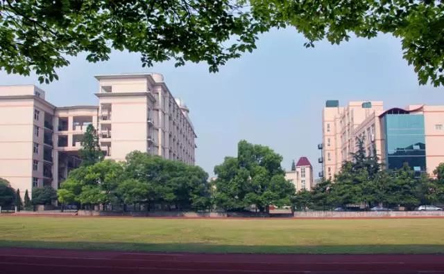 武汉32所重点小学大pk,武汉市十大美丽中学