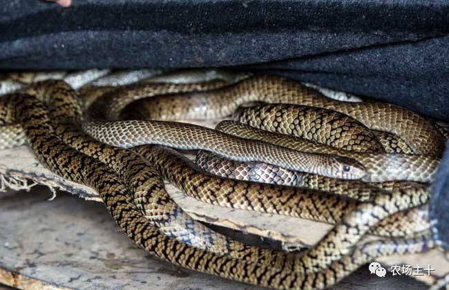 从乞丐到身价200万仅用一年时间,从乞讨到名相的传奇人生