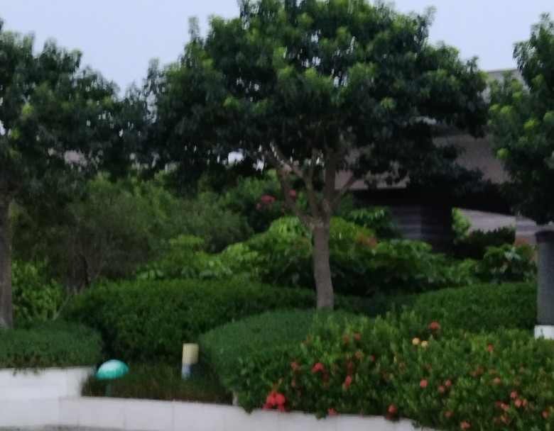 打工趣事,打工趣事100篇