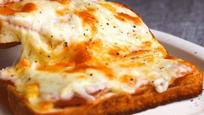 日本大容量烤箱,日本目前口碑最好的烤箱