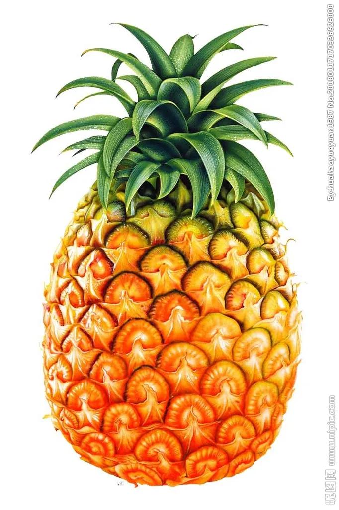 六种常见水果,中国常见水果品种图片及名称