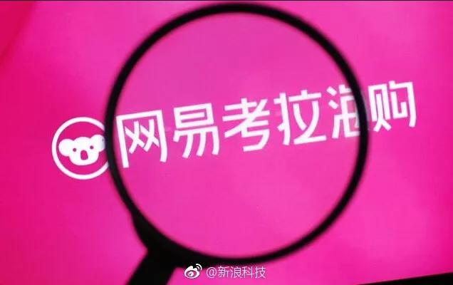 考拉和亚马逊合并了吗,亚马逊和考拉合并了吗