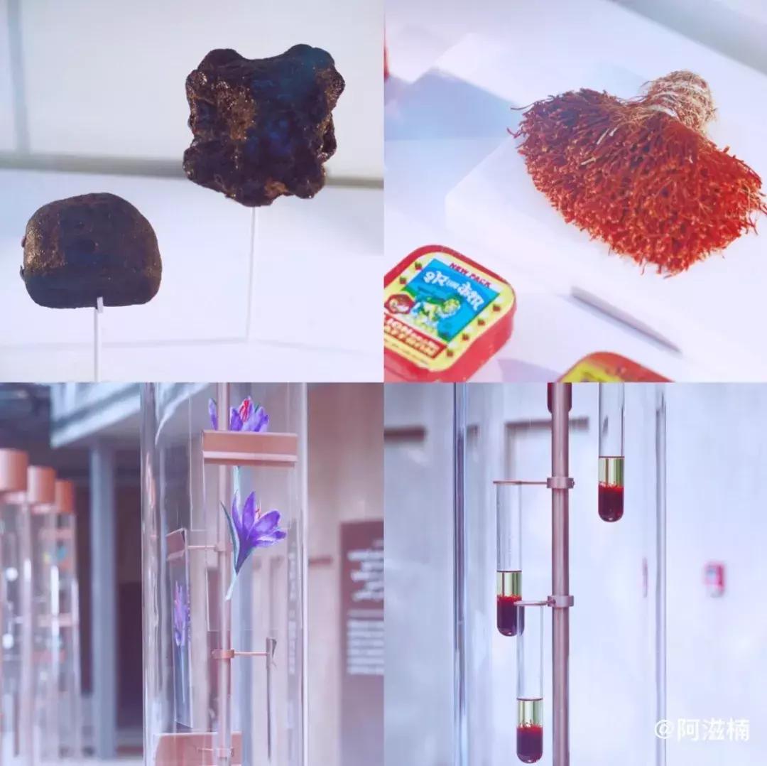 迪拜跳伞攻略图,迪拜高空跳伞攻略