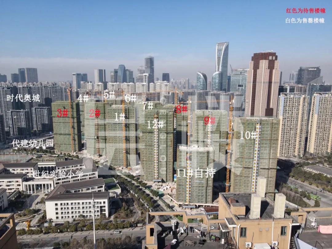 滨江三品摇号技巧,滨江三期什么时候摇号