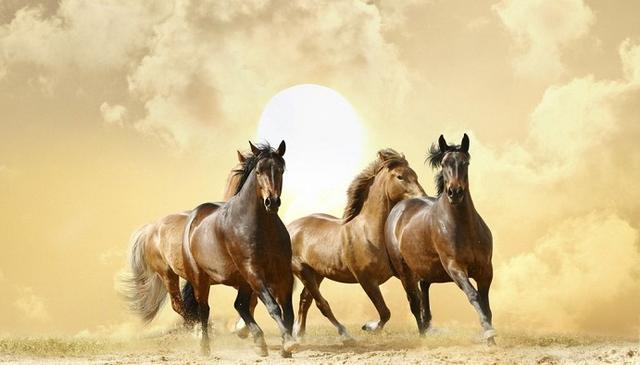 用马当车标的车有哪些,以马为车标的汽车品牌有哪些