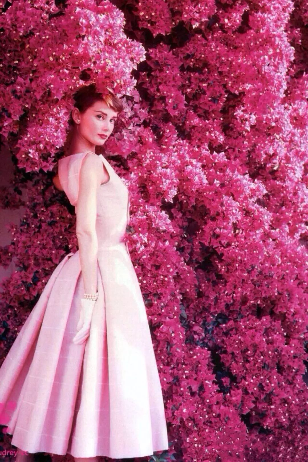 奥黛丽·赫本礼服图片,奥黛丽赫本礼服经典照片