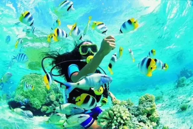 全球惊艳的10个海底世界，看到第一个就想出发！