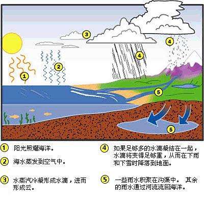 假如地球水都没了地球会怎么样,如果地球没有水地球还存在吗