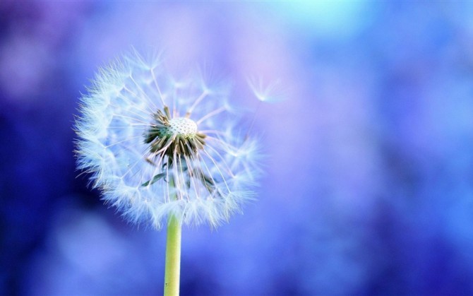 年年岁岁花不同，岁岁年年人无异