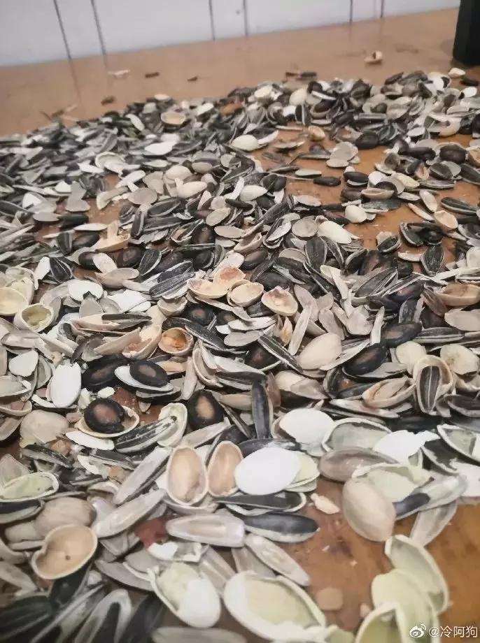 在家憋着干啥挣钱,在家憋着可以玩什么游戏