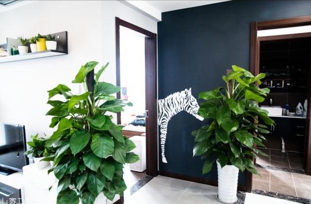 90后研究生爆改,90后硕士爆改