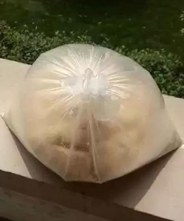 酸臭味鲢鳙饵料配方,翠花方块酸臭味鲢鳙饵料