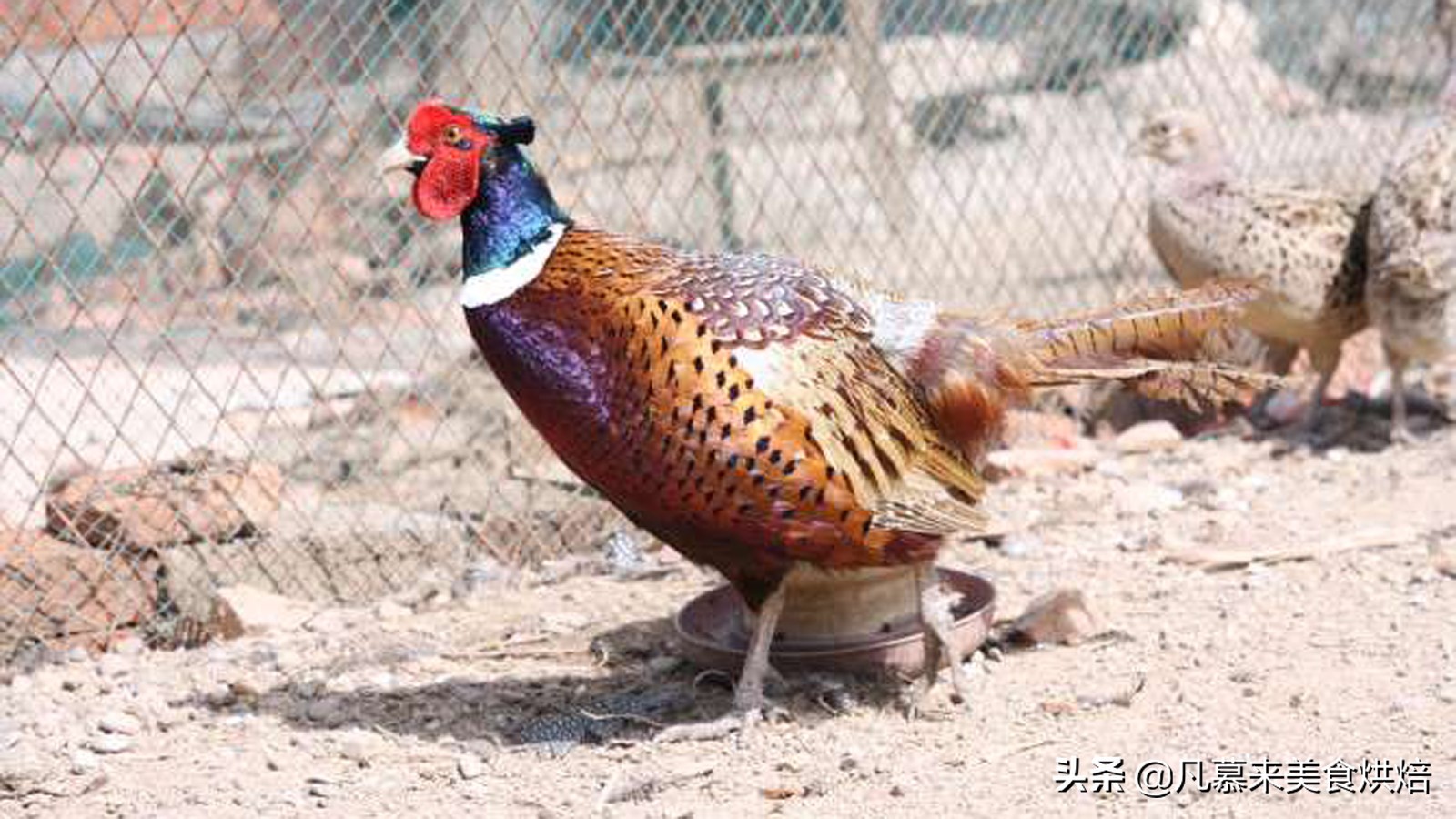 唐山什么特产适合送人,客人来唐山带点啥特产