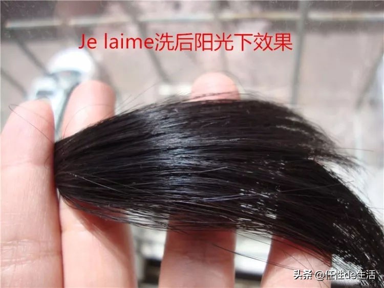 头皮油发尾干?秃头脱发的苦恼,这些洗发水能帮到你