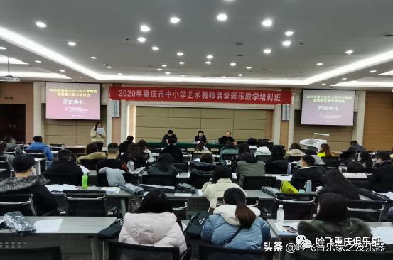 构建艺术教师学习共同体，创设中小学艺术教师课堂器乐教学培训班