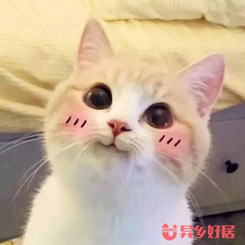 奥克兰留学购物,去奥克兰留学的必备清单