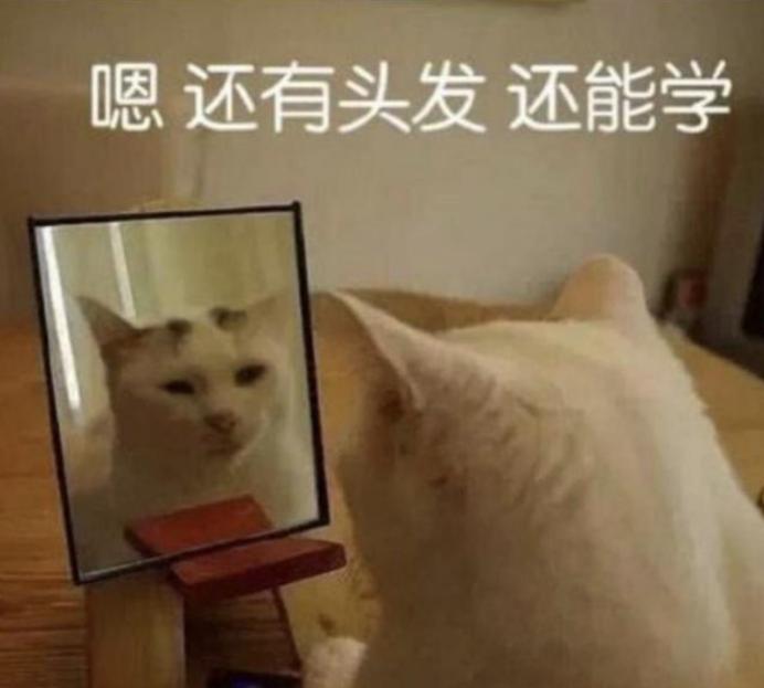 考过二级建造师就有初级职称,一级建造师证书考了二建怎么办