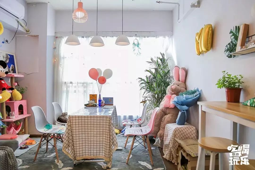 真的能算是健康减肥吗,减脂沙拉真的减肥吗