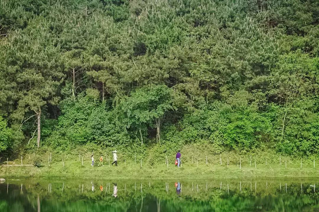 一些武汉的好消息,好消息武汉地铁1号线