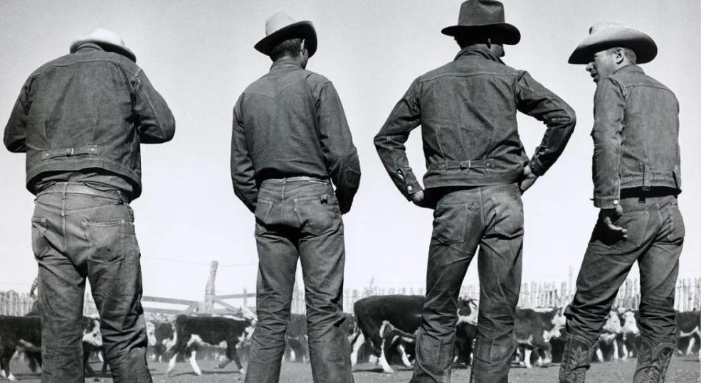 李维斯牛仔裤一扣就破,一条李维斯501原牛多少钱