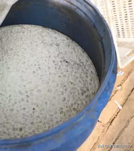 蔬菜种植自制营养土配方,菜地里加什么能让菜长得快