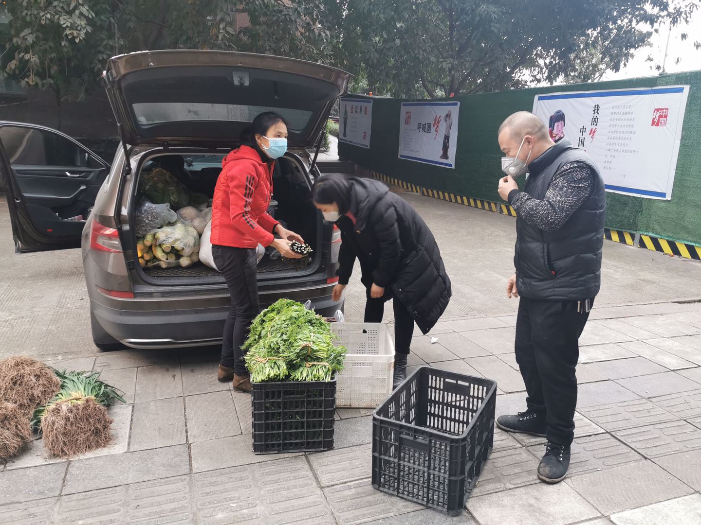 抗疫铁娘子,铁娘子朋友圈