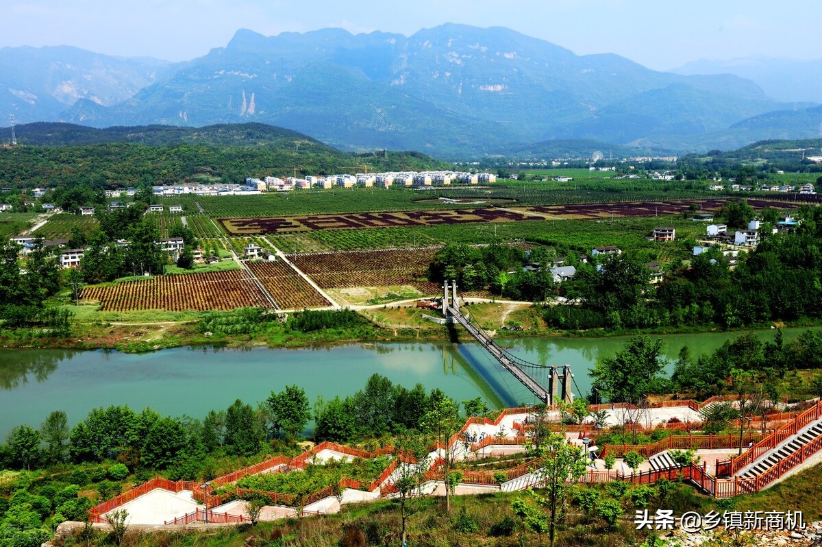 2022最好的农村养殖创业项目,广东大学生返乡下发展养殖