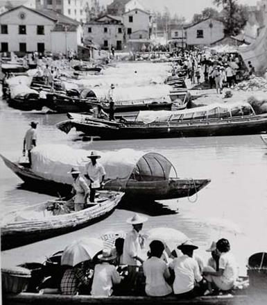 龙港镇100岁老人,龙港七旬老人