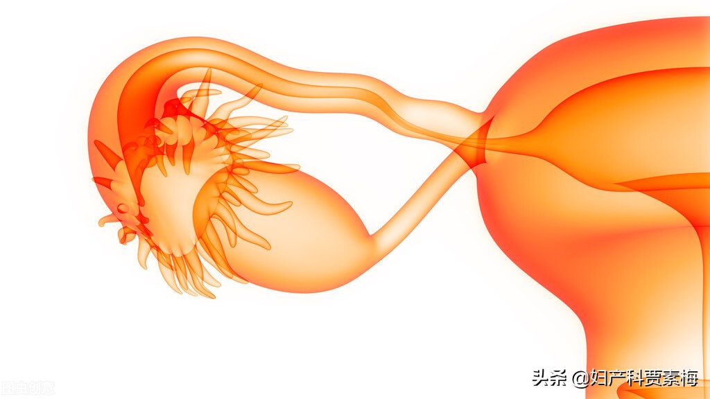 输卵管堵塞b超能查出来吗,男性输卵管堵塞的症状