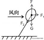 初二物理力讲解图,北方课堂初中物理