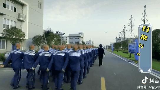 进牢房包吃包住,大学生进监狱待遇会好点吗