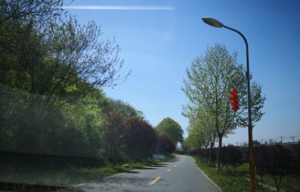 南京这些免费公园，让你任性玩个遍