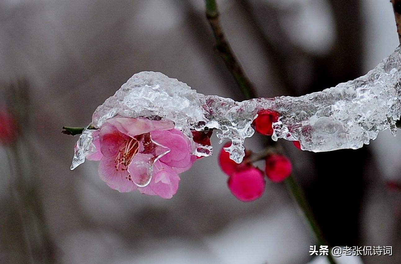 关于王维的十首羁旅思乡诗,王维边塞诗50首