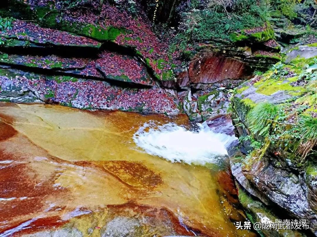 閲戠宄渤鍏洯,閲戠瑁曟渤鍥剧墖