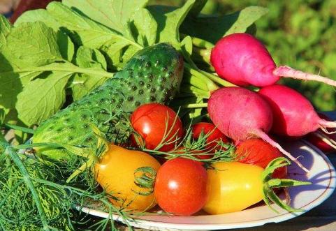 利润很吓人10个冷门创业项目加盟,零基础教你创业赚钱项目