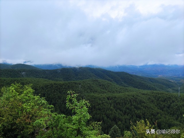 贵州大叔看见别人给娇妻要微信，他是这样处理的