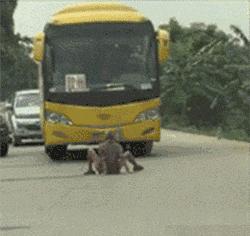 最能挨揍的男人,男人能有多抗揍