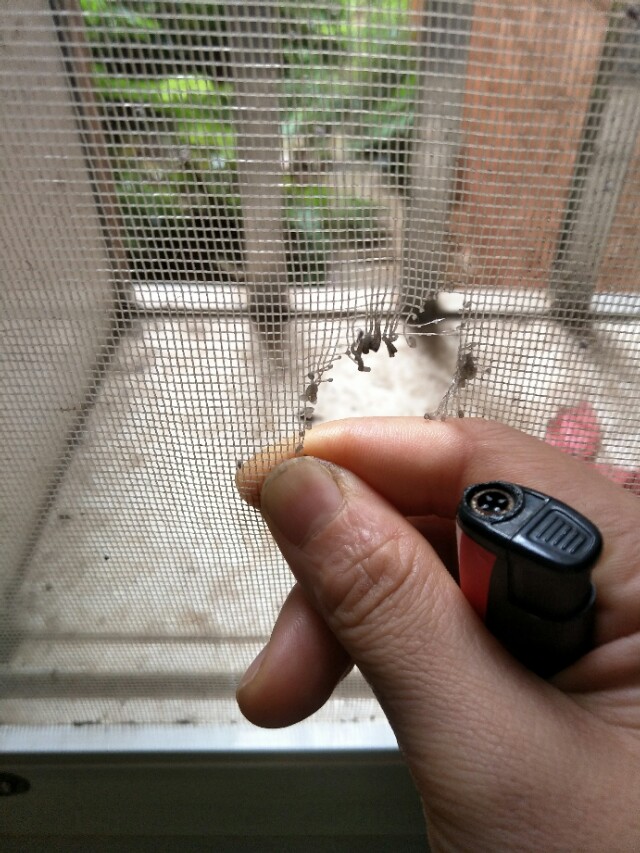 纱窗破了个小洞怎么办？不用换新的，一分钟教会您修补纱窗破洞。