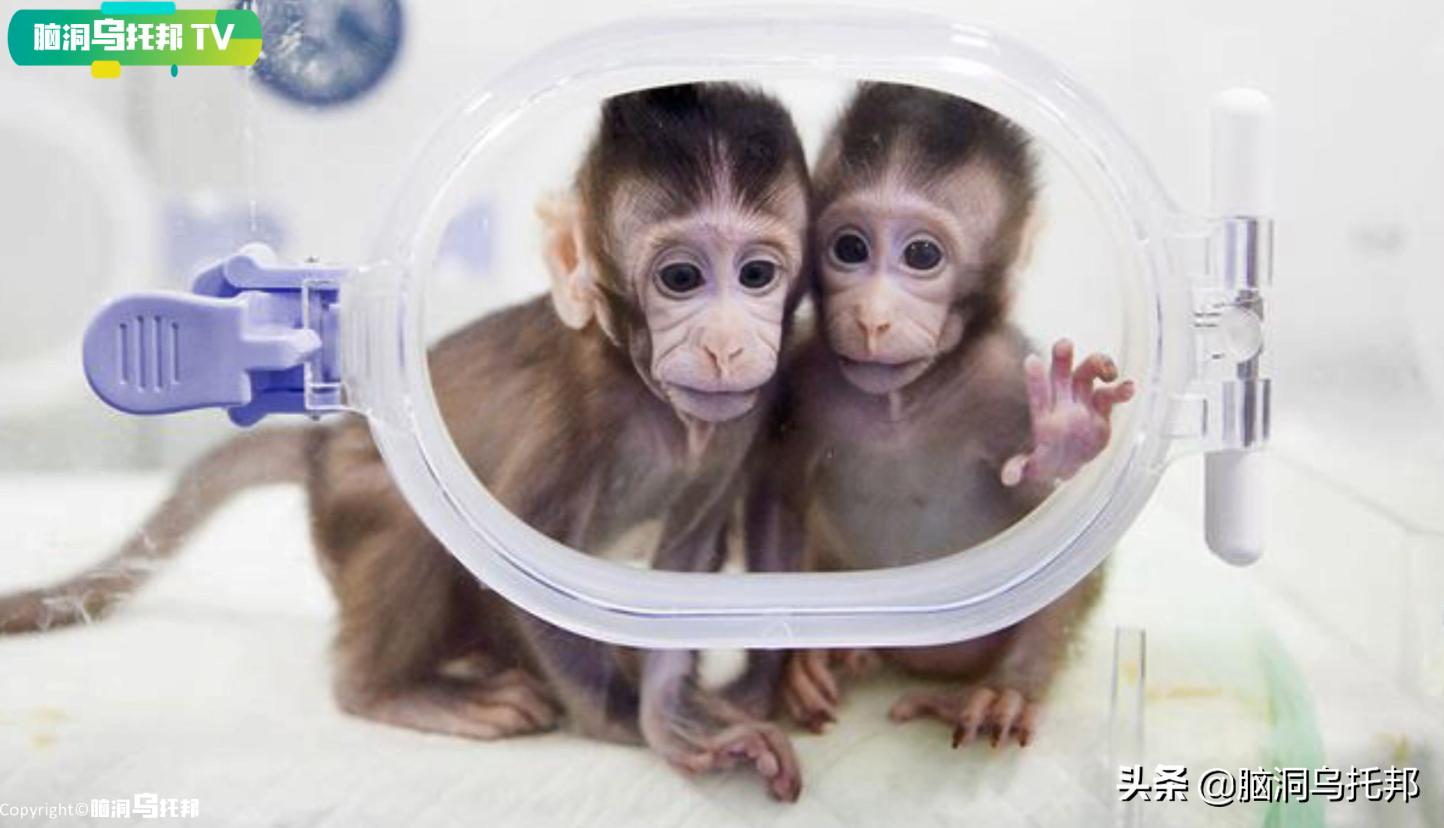 埃及木乃伊的真正用途,神秘木乃伊复活之谜