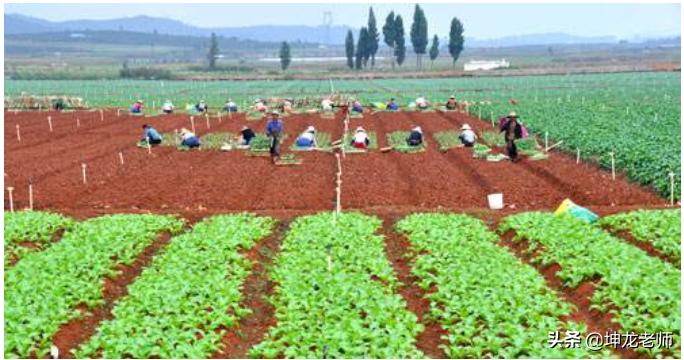 实体店私域流量经营方法分析,实体店做私域社群营销的7个方法