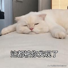 想*款贷**？先掏钱？|“五位一体”安防宣传