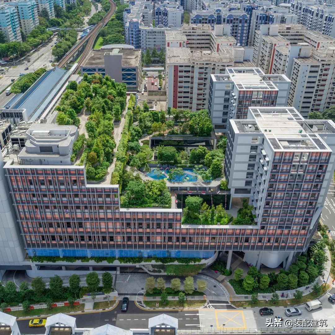 全球获奖102个奖项,金球奖公布获奖名单