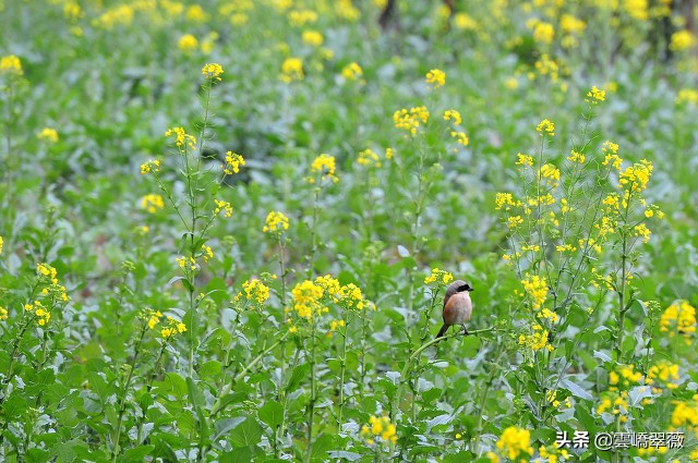 老婆不在家的日子才是好日子,老婆不在自己身边的日子