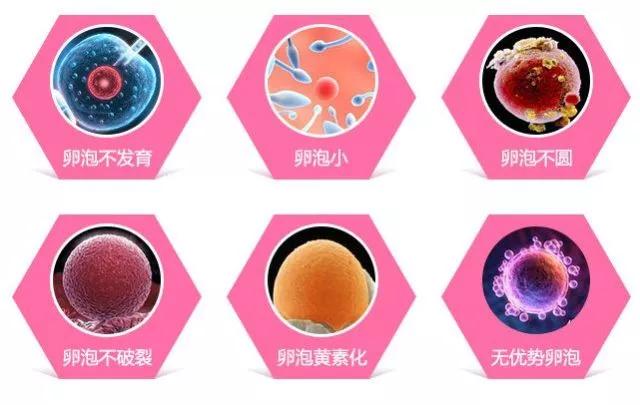 卵泡几天能发育成熟,卵泡发育不好怎么办呀