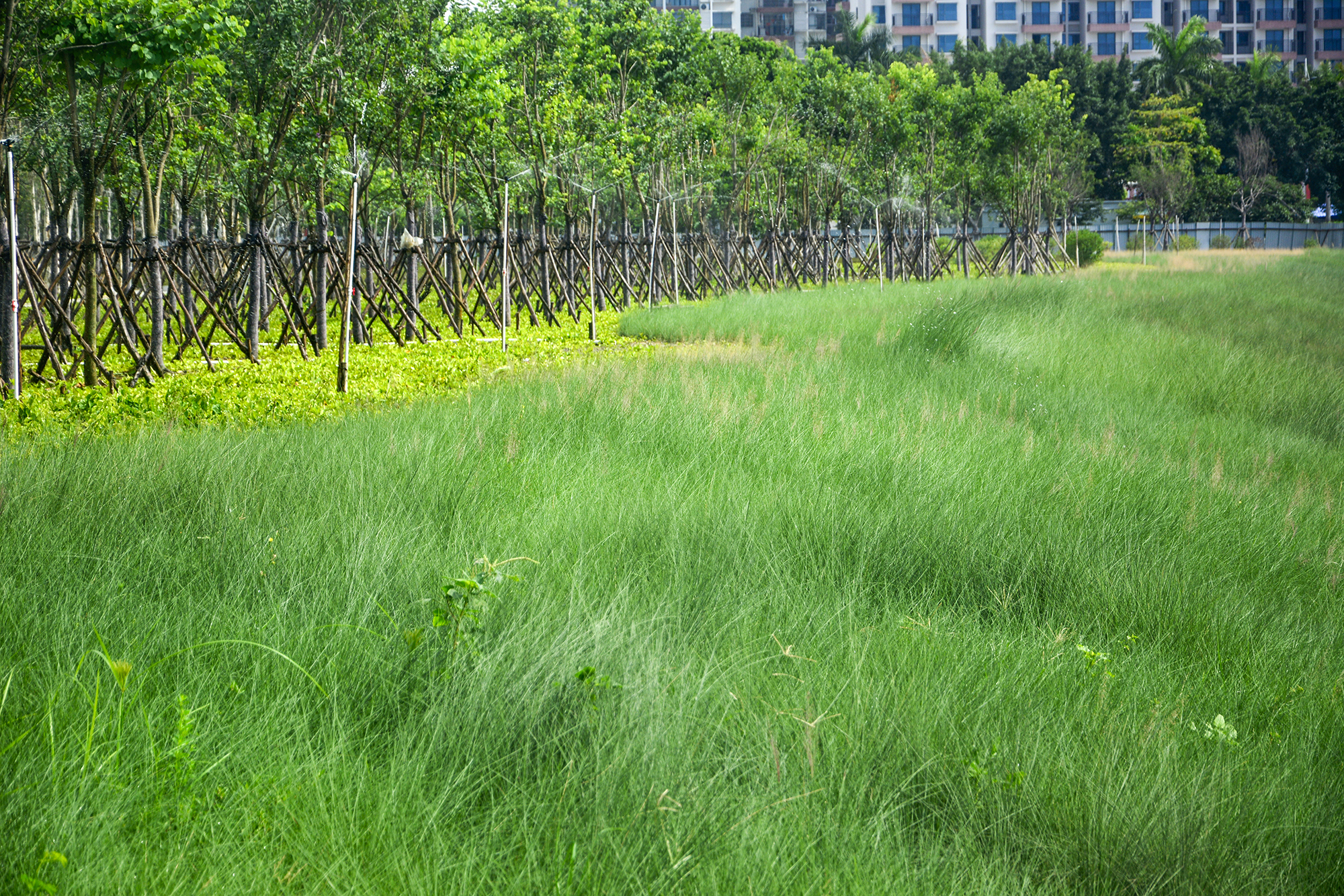 北海新的风景区,北海新建的公园