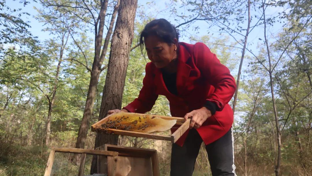 蜂蜜滞销的最新消息,3千斤蜂蜜滞销怎么办