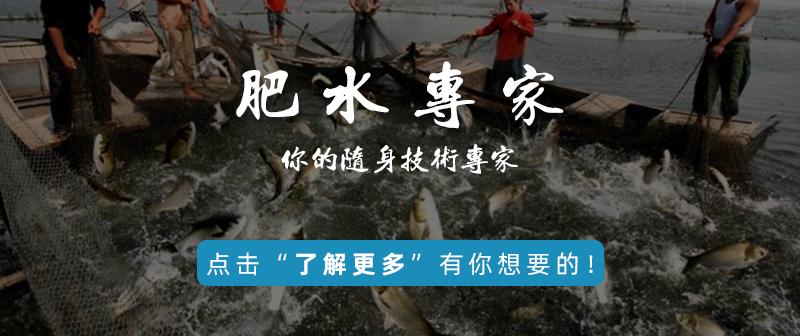 南美白对虾白斑病是怎么得出来的,南美白对虾出现白斑怎么治