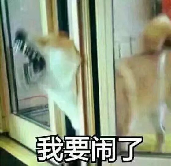 什么样才算纯种狗？纯种狗是怎么培育出来的？