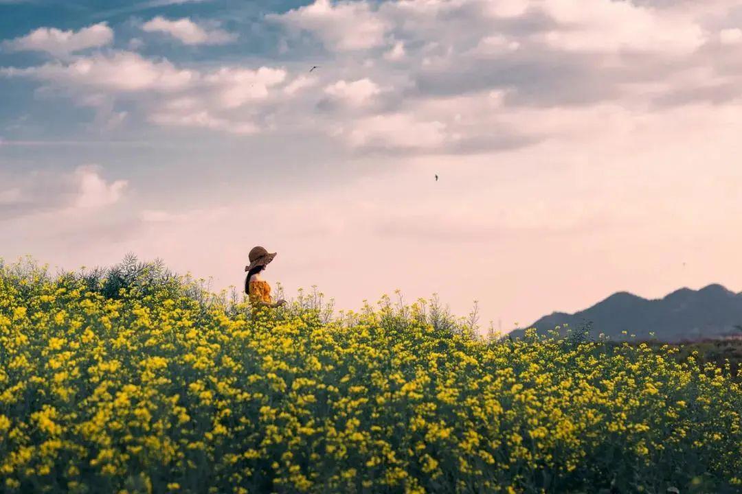 日本老人飙车,八十岁老太太饮酒网红
