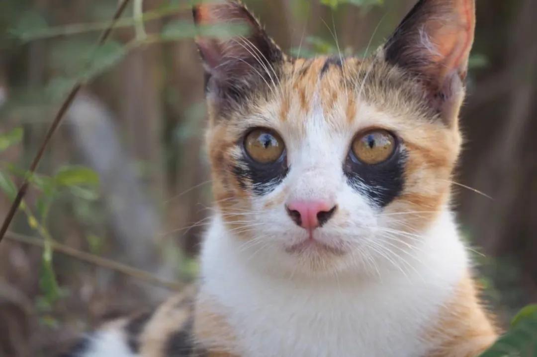 你的黑眼圈怎么来的？是这么来的！